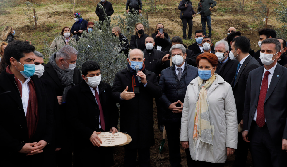 Covid -19 ile mücadele şehit olan 382 sağlık çalışanı anısına zeytin ağacı di...